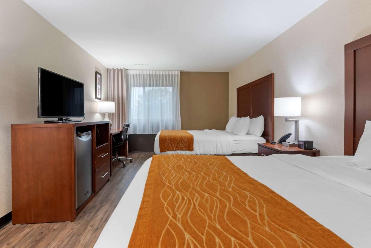 Comfort Inn Binghamton I-81 Eksteriør billede