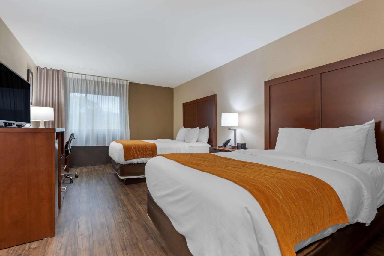 Comfort Inn Binghamton I-81 Eksteriør billede