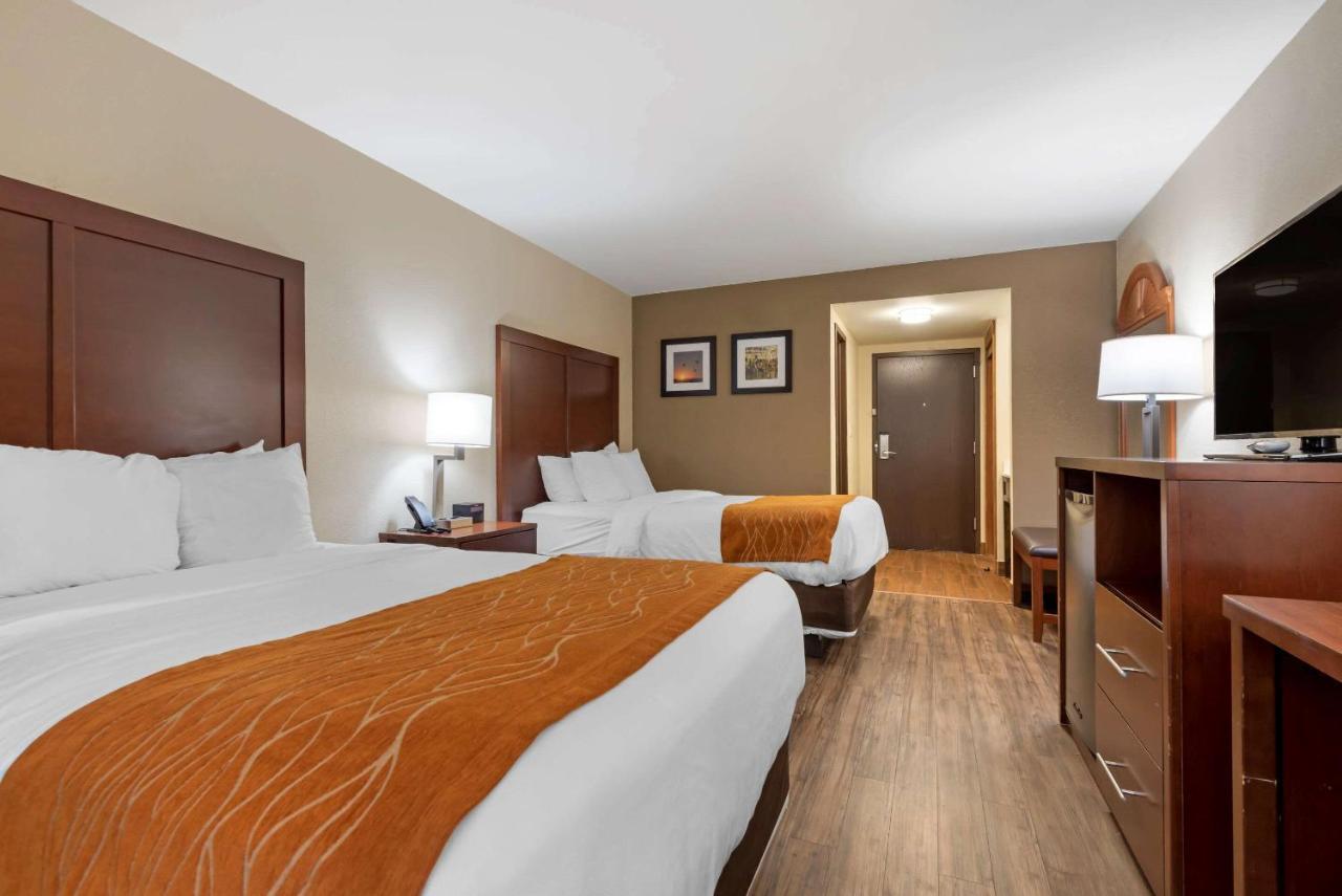 Comfort Inn Binghamton I-81 Eksteriør billede