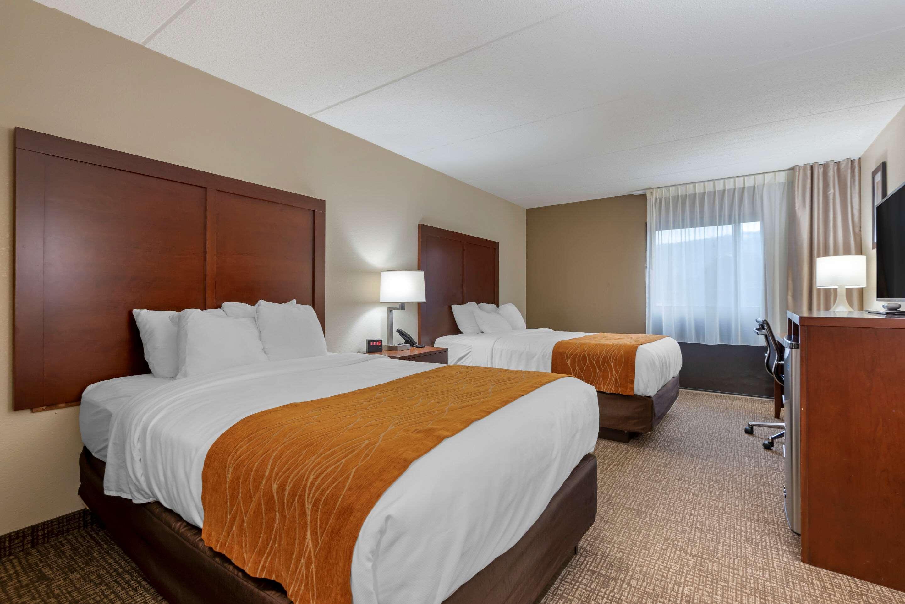 Comfort Inn Binghamton I-81 Eksteriør billede