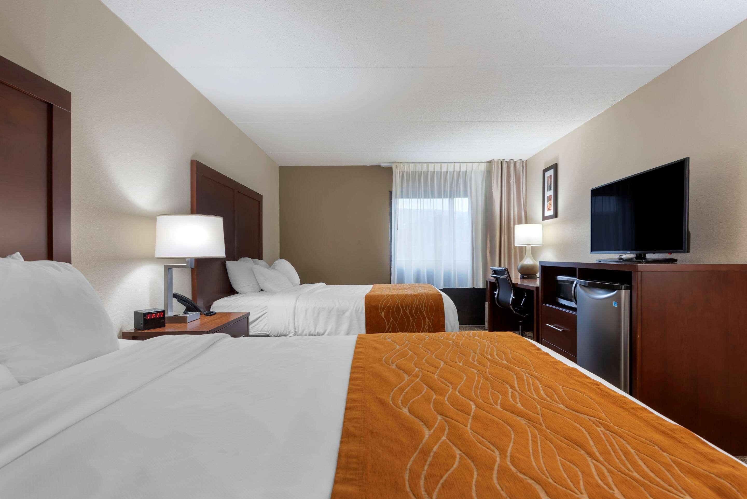 Comfort Inn Binghamton I-81 Eksteriør billede