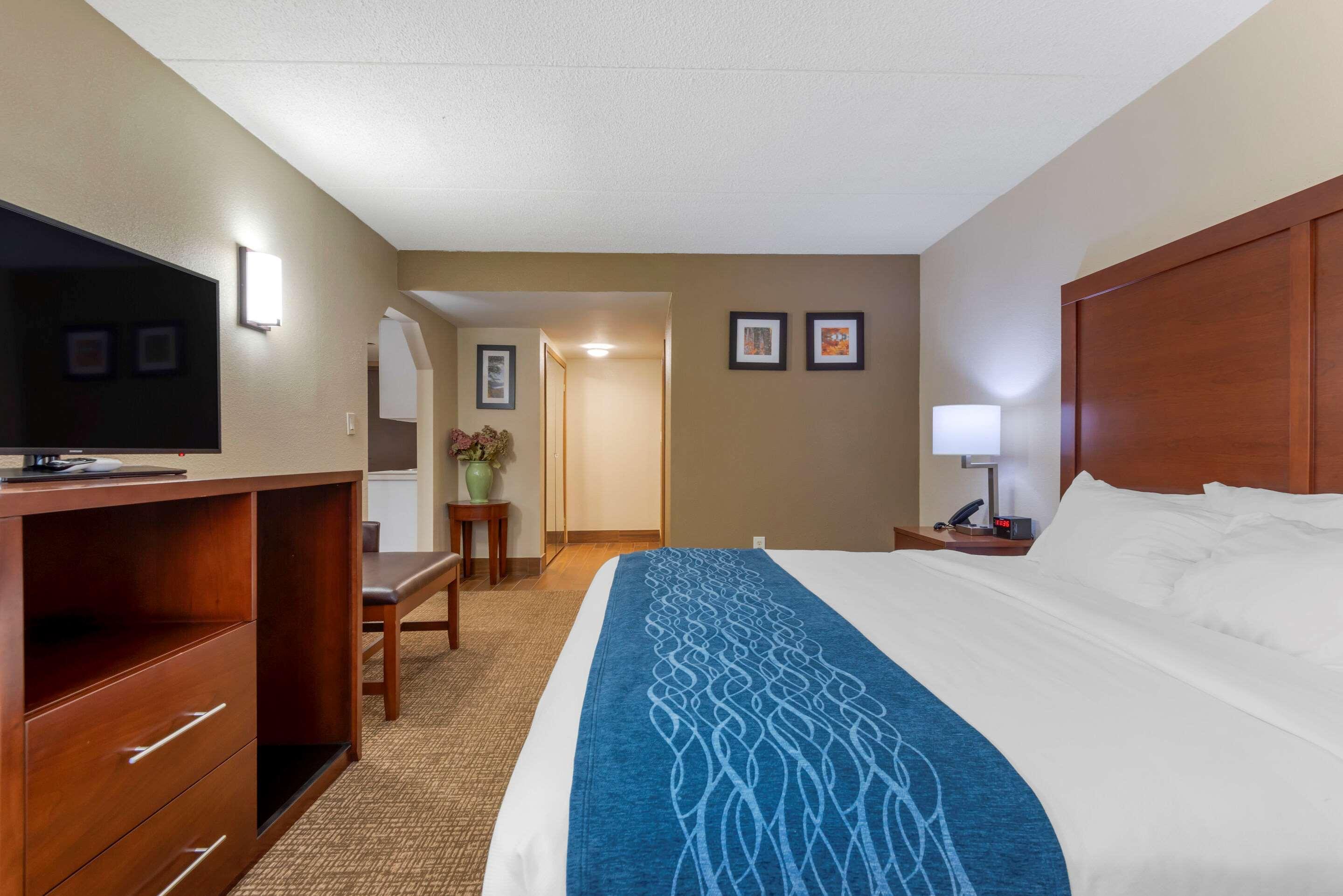 Comfort Inn Binghamton I-81 Eksteriør billede