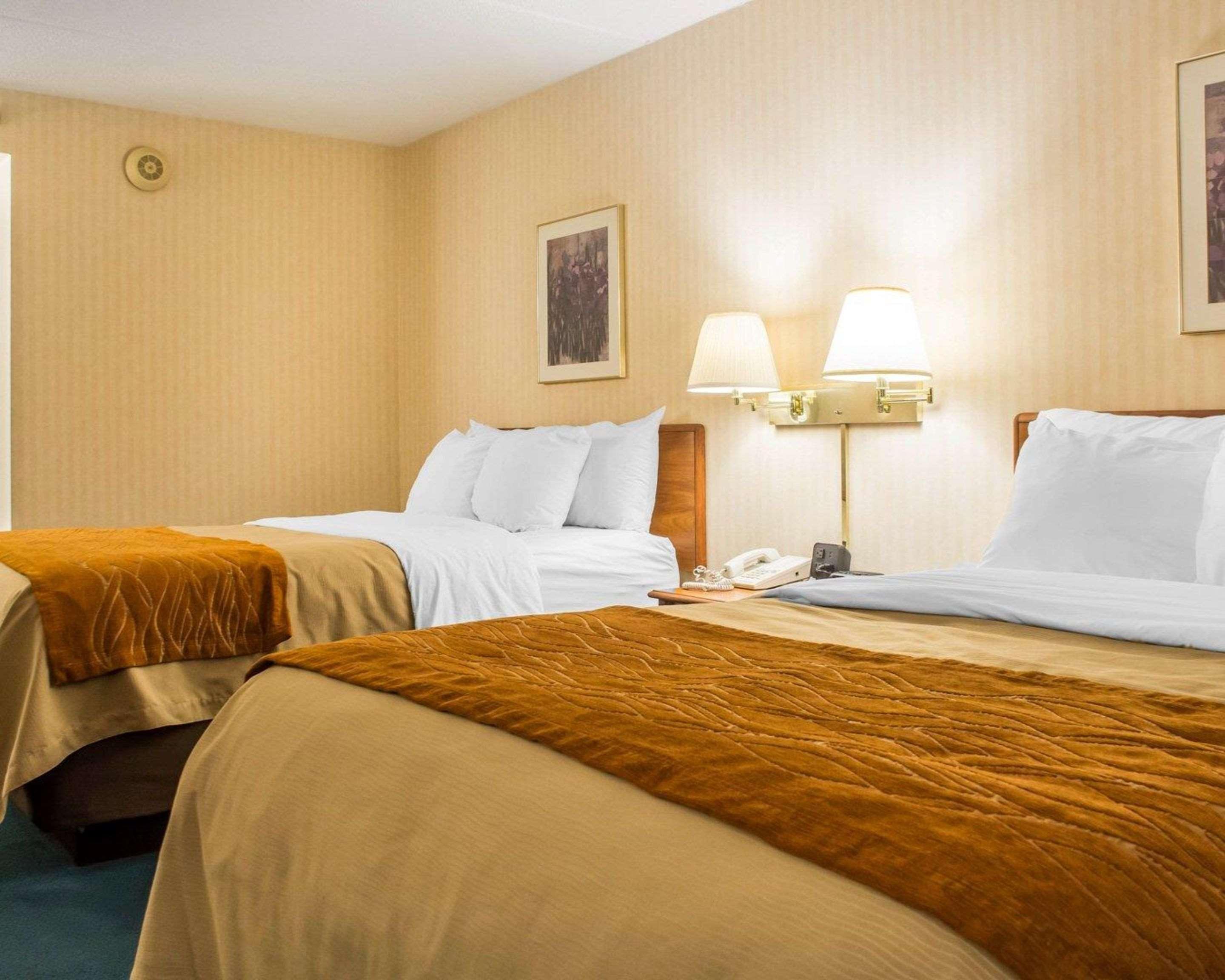 Comfort Inn Binghamton I-81 Eksteriør billede